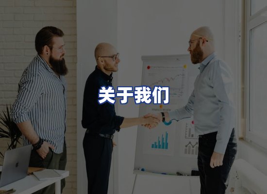 专业团队